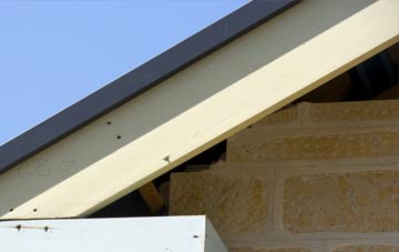 Battlesea Green fascia repairs