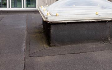 disadvantages of Battlesea Green flat roofs