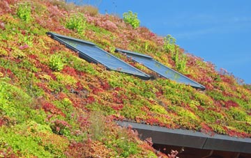 Battlesea Green living roof systems