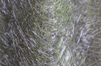 Battlesea Green fibreglass roof work